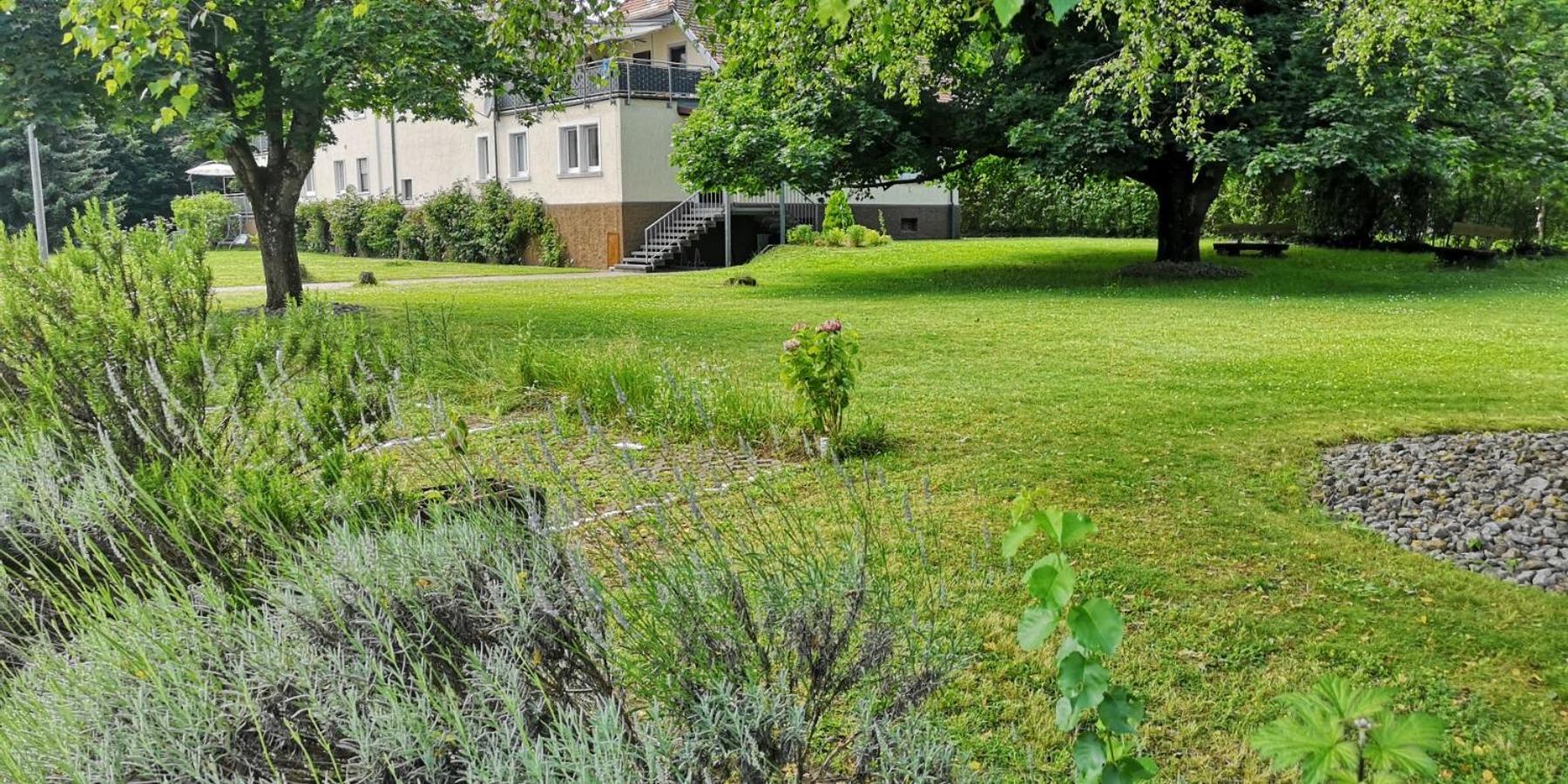 Apartamento Niederwald Iffezheim Exterior foto