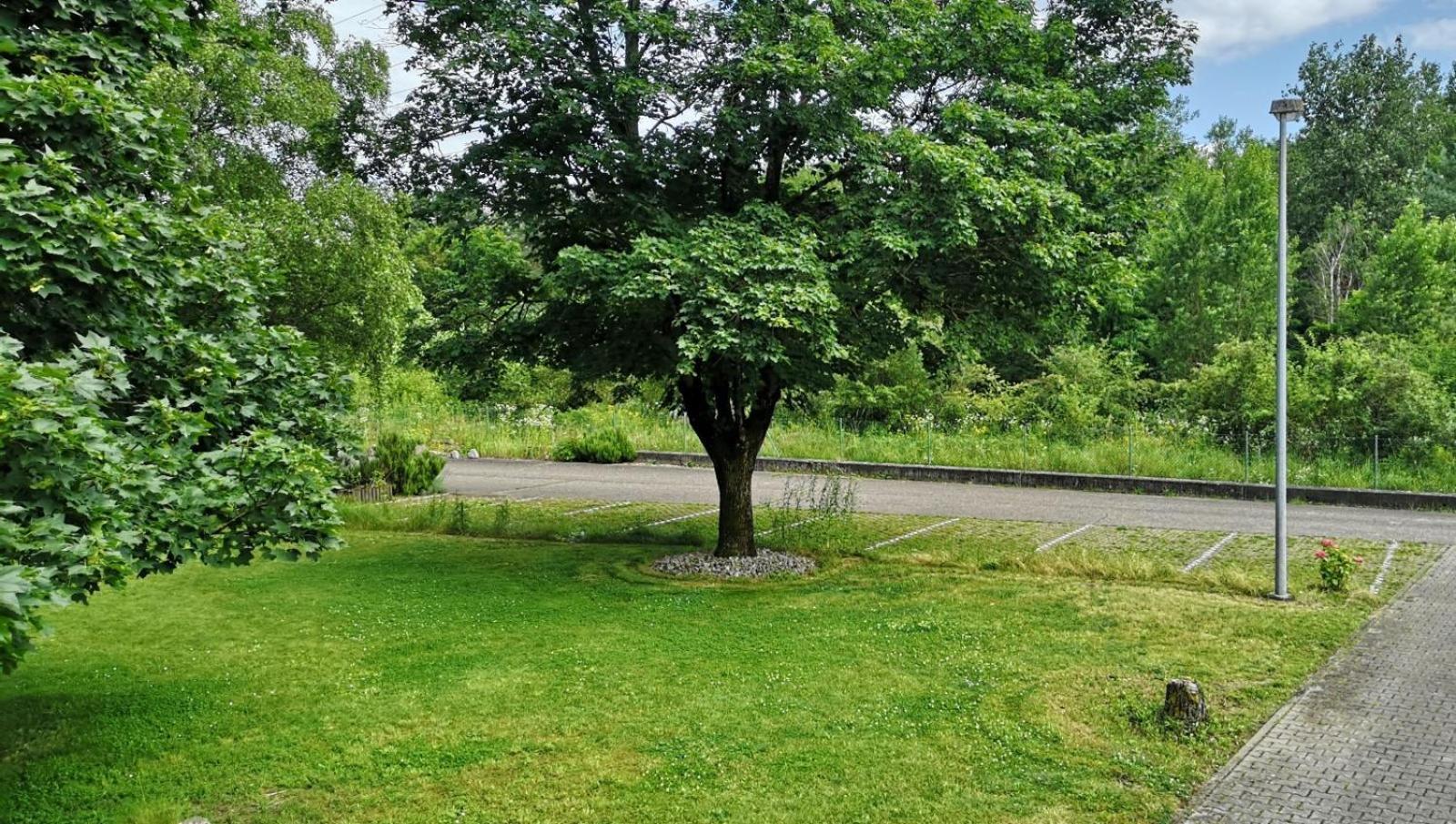 Apartamento Niederwald Iffezheim Exterior foto